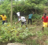 JOURNEE DE L’ARBRE AU GRAND SEMINAIRE DE BUJUMBURA