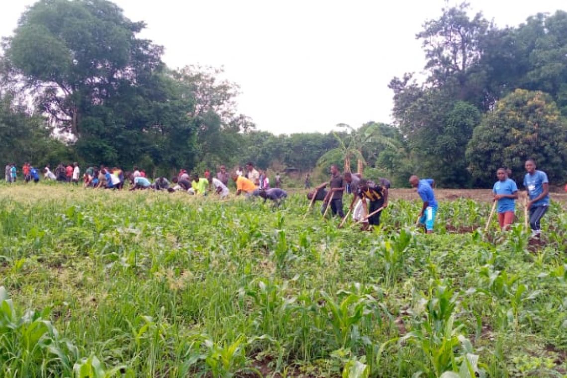 JOURNEE DE L’ARBRE AU GRAND SEMINAIRE SAINT CURE D'ARS DE BUJUMBURA