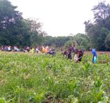 JOURNEE DE L’ARBRE AU GRAND SEMINAIRE SAINT CURE D'ARS DE BUJUMBURA