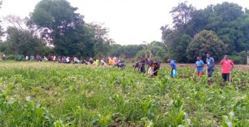 JOURNEE DE L’ARBRE AU GRAND SEMINAIRE SAINT CURE D'ARS DE BUJUMBURA