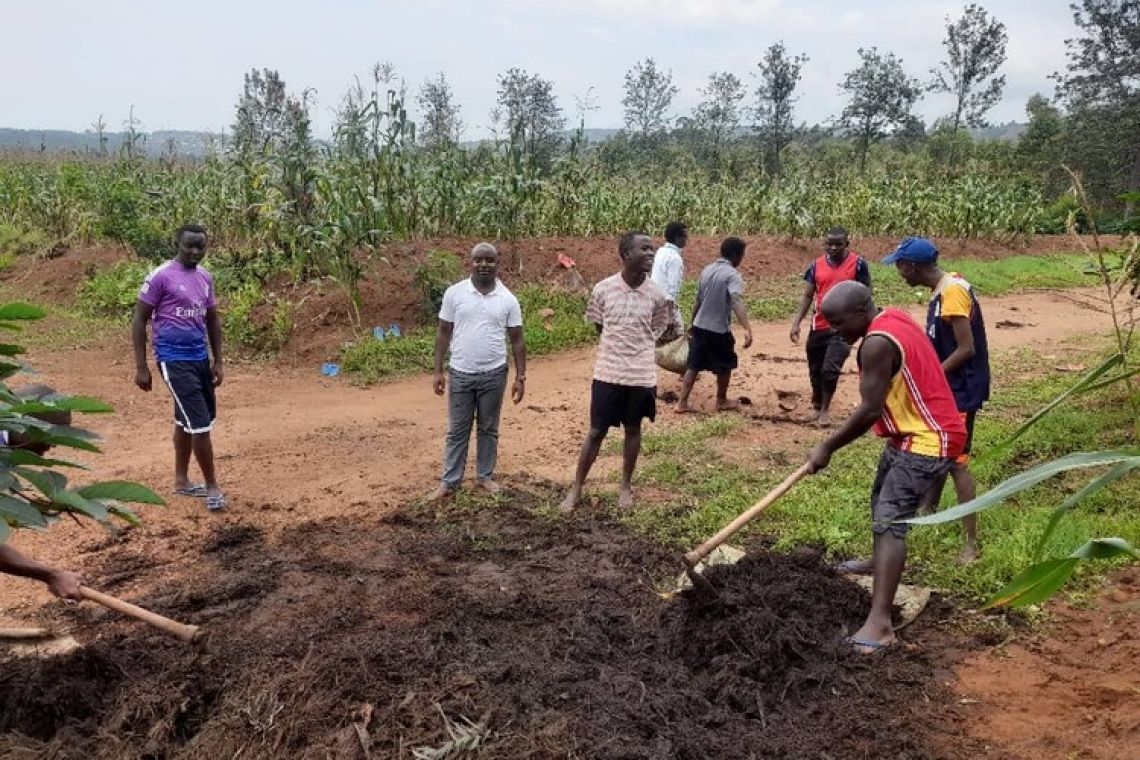 CULTURE DU HARICOT AU GRAND SEMINAIRE DE GITEGA POUR LES PLUS DEMUNIS