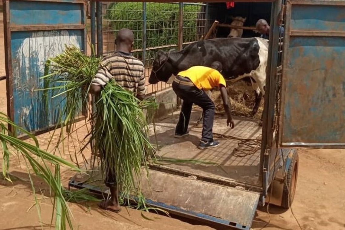 UMUKURU W’IGIHUGU YARAYE AGABIYE PARUWASI GITONGO INYANA Y’INKA YITWA «YABUKI»