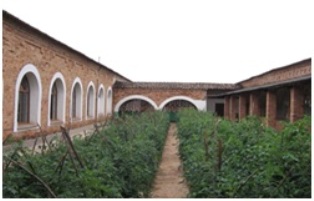 burasira3